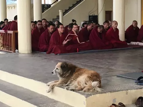 Eine Gruppe indischer Mönchskinder